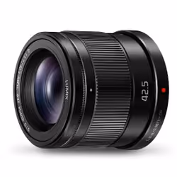 Panasonic H-HS043E, Téléobjectif, 10/8, Stabilisateur d'image, Micro Four Thirds (MFT)