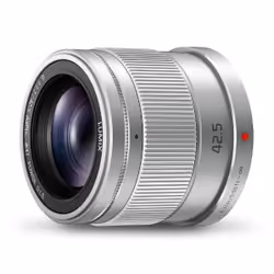 Panasonic H-HS043E, Téléobjectif, 10/8, Stabilisateur d'image, Micro Four Thirds (MFT)
