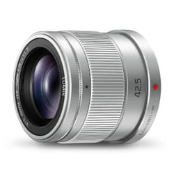 Panasonic H-HS043E MILC Téléobjectif Argent