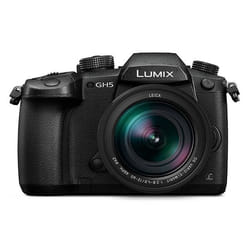 Panasonic Lumix DMC-GH5 + Leica 12-60mm MILC 20,3 MP Live MOS 5184 x 3888 pixels Noir