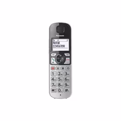 Panasonic KX-TGE520GS téléphone Téléphone DECT Identification de l'appelant Noir, Argent