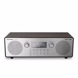 Panasonic RF-D100BT