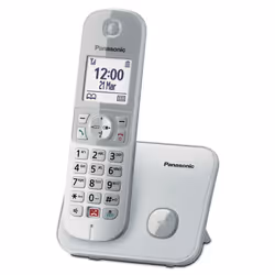 Panasonic KX-TG6851JTS, Téléphone DECT, Combiné sans fil, Haut-parleur, Identification de l'appelant, Argent