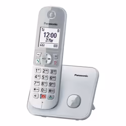 Panasonic KX-TG6851SPS, Téléphone DECT, Combiné sans fil, Haut-parleur, 200 entrées, Identification de l'appelant, Gris, Arge ...