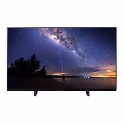 Panasonic TX-48JZ1000E TV 48" 4K Ultra HD Smart TV Wifi Noir