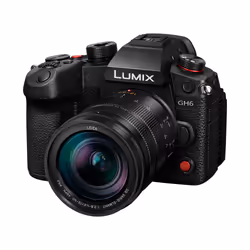 Panasonic Lumix GH6 + Leica DG Vario-Elmarit12-60mm / F2.8-4.0 ASPH. / Power O.I.S. MILC 25,21 MP Live MOS 11552 x 8672 pixels Noir