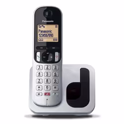 Panasonic KX-TGC260JTS, Téléphone DECT, Combiné sans fil, Haut-parleur, 50 entrées, Identification de l'appelant, Noir, Argen ...