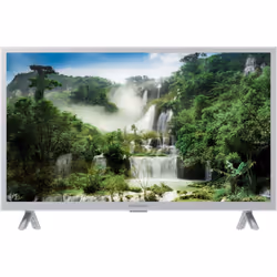 Panasonic TX-24LSW504S TV 24" HD Smart TV Argent