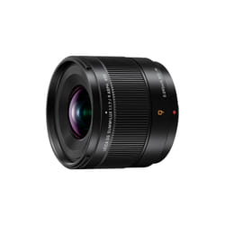 Panasonic H-X09 MILC Objectif ultra large Noir