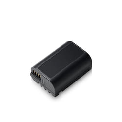 Panasonic DMW-BLK22E accessoire de caméra sportive d'action Batterie de caméra