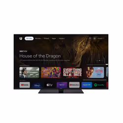 Panasonic TX-55MZ800E TV 55" 4K Ultra HD Smart TV Wifi Noir