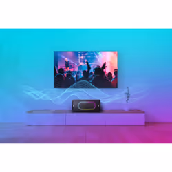Panasonic SC-TMAX45E Orateur du parti Noir 1000 W - Vue supplémentaire 5