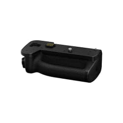 Panasonic DMW-BG2E batterie de caméra/caméscope