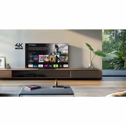 Panasonic TB-55W61AEZ TV 139,7 cm (55") 4K Ultra HD Smart TV Wifi Noir