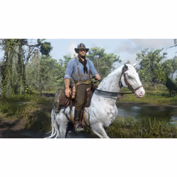 Rockstar Games Red Dead Redemption 2 Standard PC - Vue supplémentaire 9