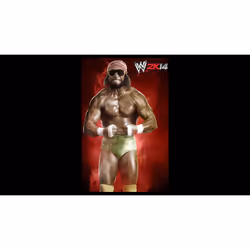 2K WWE 2K14 Standard PlayStation 3 - Vue supplémentaire 14