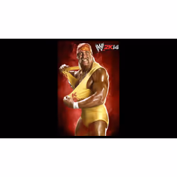 2K WWE 2K14 Standard PlayStation 3 - Vue supplémentaire 18