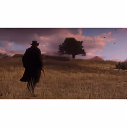 Take-Two Interactive Red Dead Redemption 2 (PS4) Standard Multilingue PlayStation 4 - Vue supplémentaire 7