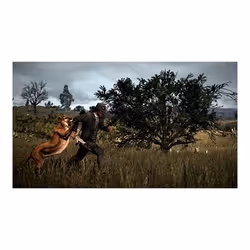 Take-Two Interactive Red Dead Redemption 2, PS4 Standard Italien PlayStation 4 - Vue supplémentaire 8