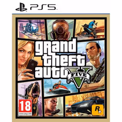 Grand Theft Auto V (GTA 5)