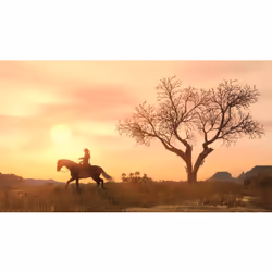 Rockstar Games Red Dead Redemption Standard PS4/Nintendo Switch/Xbox