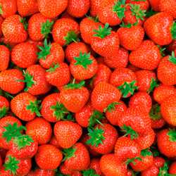 Beurre corporel Fraise 50 ml - Vue supplémentaire 2