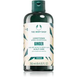The Body Shop Ginger 250 ml