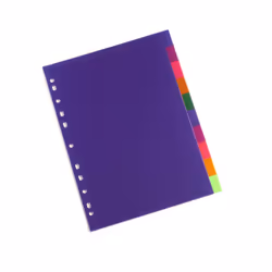 Rexel 2100549 intercalaire