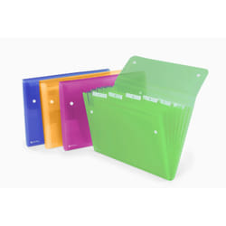Rexel Trieur Ice à soufflets 6 compartiments coloris assortis