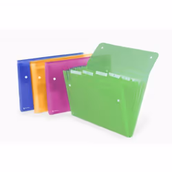 Rexel Trieur Ice à soufflets 6 compartiments coloris assortis