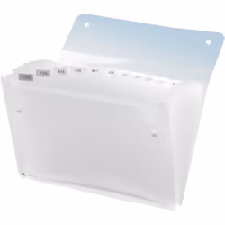 Rexel Trieur Ice à soufflets 13 compartiments coloris transparent, Transparent, Polypropylène (PP), 260 feuilles, A4, 330 mm, ...