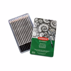Derwent Academy fusain 12 pièce(s) Gris