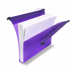 Rexel Multifile Extra Secura dossier susp. A4 30 mm, assortis (10)