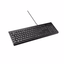 Kensington KB100 EQ, Taille réelle (100 %), Avec fil, USB, Clavier à membrane, QWERTY, Noir