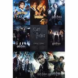 GB eye Collection, 1 pièce(s), Film et TV, HARRY POTTER, Rectangulaire, Garçon/Fille, 61 x 91,5 cm