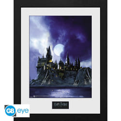 ABYstyle PFC2234 affichages 305 x 406 cm 1 pièce(s)