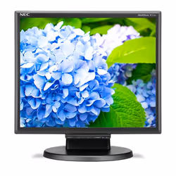 NEC E172M, 43,2 cm (17"), 1280 x 1024 pixels, HD, LED, 5 ms, Noir