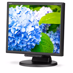 NEC E172M écran plat de PC 17" HD LED Noir
