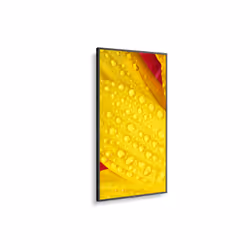 NEC MultiSync ME501 Panneau plat de signalisation numérique 50" VA 400 cd/m² 4K Ultra HD Noir 18/7 - Vue supplémentaire 4