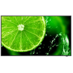 NEC MultiSync E498 49"  IPS 350 cd/m² 4K Ultra HD Noir 16/7