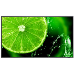 NEC MultiSync E658 65" IPS 350 cd/m² 4K Ultra HD Noir 16/7