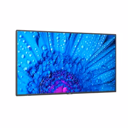 NEC MultiSync M981 Écran plat de signalisation numérique 98" LCD 500 cd/m² 4K Ultra HD Noir