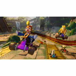 Activision Crash Team Racing Nitro-Fueled Standard PlayStation 4 - Vue supplémentaire 10