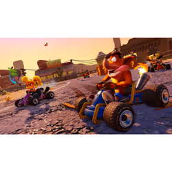 Activision Crash Team Racing Nitro-Fueled Standard Nintendo Switch