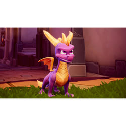 Activision Crash Team Racing + Spyro Reignited Trilogy - Bundle PlayStation 4