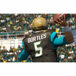 Electronic Arts Madden NFL 15, PS4 Standard PlayStation 4