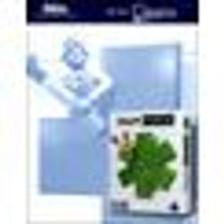 DotEmu Little Big Adventure 2 Standard Allemand, Anglais, Espagnol, Français, Italien, Portugais PC