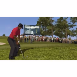 Electronic Arts Tiger Woods PGA Tour 10, Wii