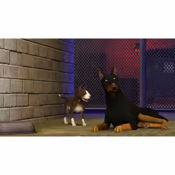 Electronic Arts Les Sims 3 : Animaux & Cie Standard Allemand, Anglais, Chinois simplifié, Coréen, Danois, Espagnol, Finlandais, Français, Hongrois, Italien, Japonais, Néerlandais, Norvégien, Polonais, Russe, Tchèque Xbox 360 - Vue supplémentaire 15