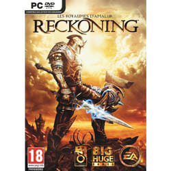 Electronic Arts Les Royaumes d'Amalur : Reckoning Standard Allemand, Anglais, Italien PC